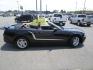 2010 BLACK /Black/Cloth Ford Mustang SPORT (1ZVBP8EN3A5) with an 4.0L V6 OHC 12V engine, 5 SPEED AUTOMATIC transmission, located at 1814 Albert Pike Road, Hot Springs, AR, 71913, (501) 623-1717, 34.494228, -93.094070 - Photo#4