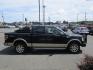 2010 BLACK /KING RANCH LEATHER Ford F-150 Lariat SuperCrew 5.5-ft. Bed 4WD (1FTFW1EVXAK) with an 5.4L V8 SOHC 24V FFV engine, 4-Speed Automatic transmission, located at 1814 Albert Pike Road, Hot Springs, AR, 71913, (501) 623-1717, 34.494228, -93.094070 - 2010 FORD F-150 LARIAT KING RANCH - Photo#4