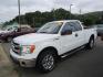 2013 WHITE /GRAY LEATHER Ford F-150 XLT SuperCab 6.5-ft. Bed 4WD (1FTFX1ET9DK) with an 3.5L V6 TURBO engine, 6-Speed Automatic transmission, located at 1814 Albert Pike Road, Hot Springs, AR, 71913, (501) 623-1717, 34.494228, -93.094070 - Photo#1