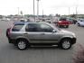 2005 Grey /BLACK Honda CR-V EX 4WD AT (JHLRD78825C) with an 2.4L L4 DOHC 16V engine, 5-Speed Automatic Overdrive transmission, located at 1814 Albert Pike Road, Hot Springs, AR, 71913, (501) 623-1717, 34.494228, -93.094070 - Photo#4