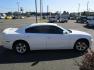 2012 WHITE /BLACK Dodge Charger SE (2C3CDXBG7CH) with an 3.6L V6 DOHC 24V engine, 5-Speed Automatic transmission, located at 1814 Albert Pike Road, Hot Springs, AR, 71913, (501) 623-1717, 34.494228, -93.094070 - Photo#4