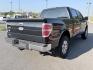 2011 BLACK Ford F-150 FX4 SuperCrew 5.5-ft. Bed 4WD (1FTFW1ET6BF) with an 3.5L V6 engine, 4-Speed Automatic transmission, located at 1814 Albert Pike Road, Hot Springs, AR, 71913, (501) 623-1717, 34.494228, -93.094070- Photo#2