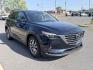 2016 BLUE Mazda CX-9 Touring FWD (JM3TCACY1G0) with an 2.5L L4 DOHC 16V engine, 6A transmission, located at 1814 Albert Pike Road, Hot Springs, AR, 71913, (501) 623-1717, 34.494228, -93.094070- Photo#1